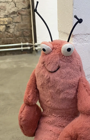 Ein rosa Plüschtier in Form eines Hummers mit schwarzen Fühlern und großen runden Augen liegt auf einem grauen Boden neben einer weißen Ziegelwand – die perfekte Dekoration für kreative Arbeiten oder E-Commerce-Hintergründe mit freiliegenden Stein- und Metallrohren im Hintergrund.