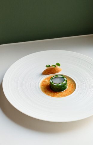 Eine hübsch angerichtete Vorspeise auf einem großen weißen Teller weist in der Mitte ein rundes, grün verpacktes Stück auf, das in einer Lache aus fein gehackter Orangensauce liegt – perfekt für Restaurant-Marketingdienste, um kulinarische Kunstfertigkeit zu präsentieren.